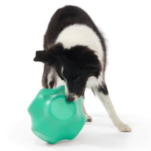 Evergreen Bolder Super Chewer Durable Gnaw Dog Toy