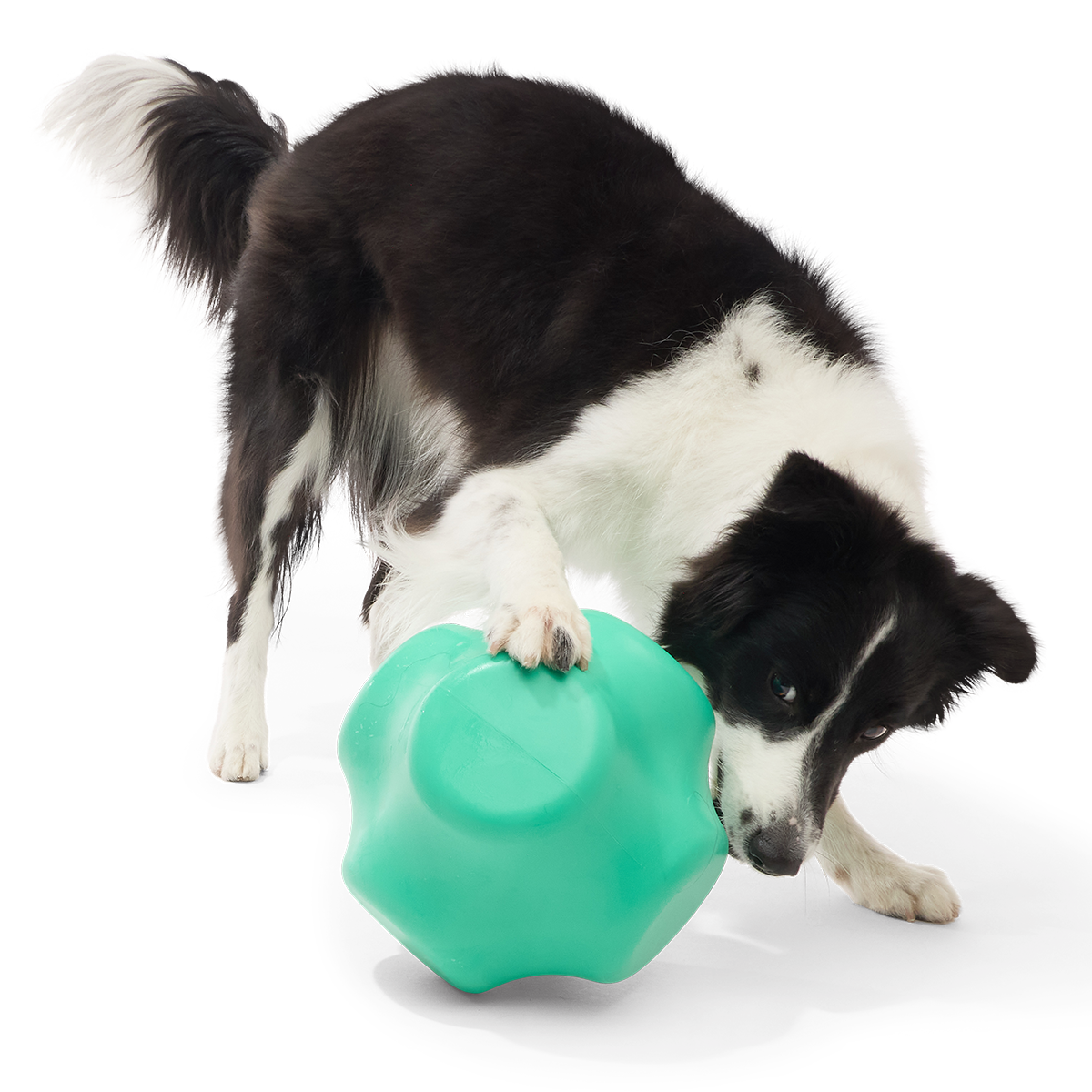 Evergreen Bolder Super Chewer Durable Gnaw Dog Toy - Image 3