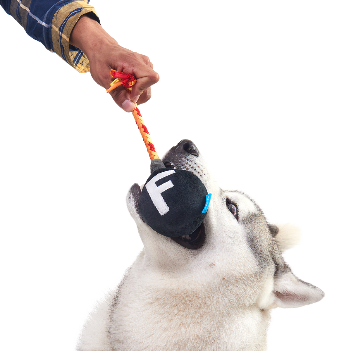 F Bomb Plush Tug Dog Toy - Image 4