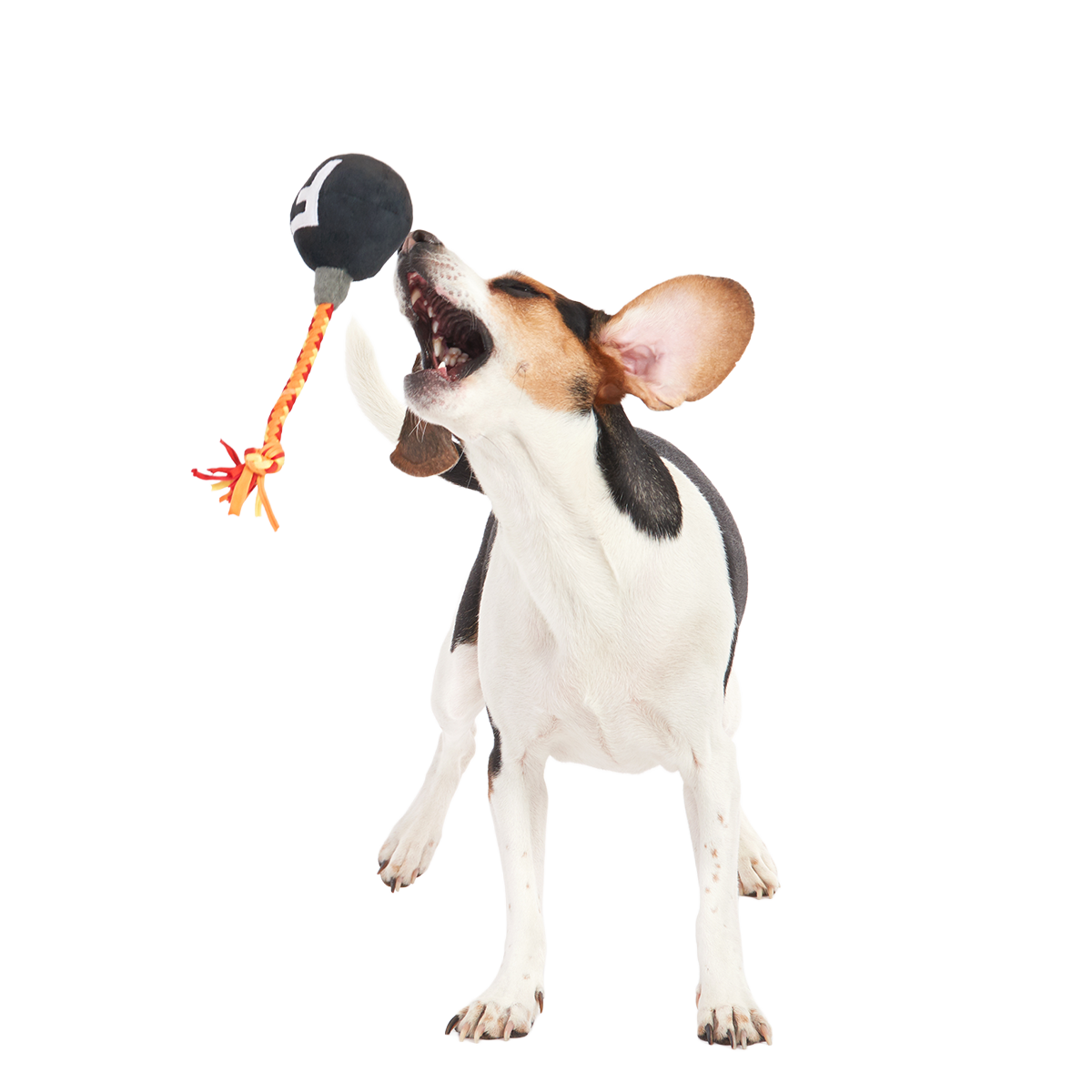 F Bomb Plush Tug Dog Toy - Image 3