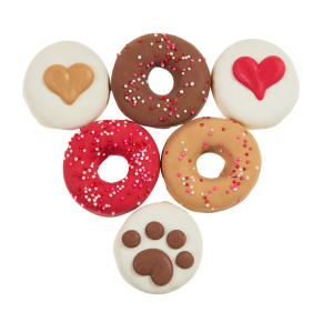 Love Bites Peanut Flavored Hard & Crunchy Dog Treats Cookie. 6 Pack