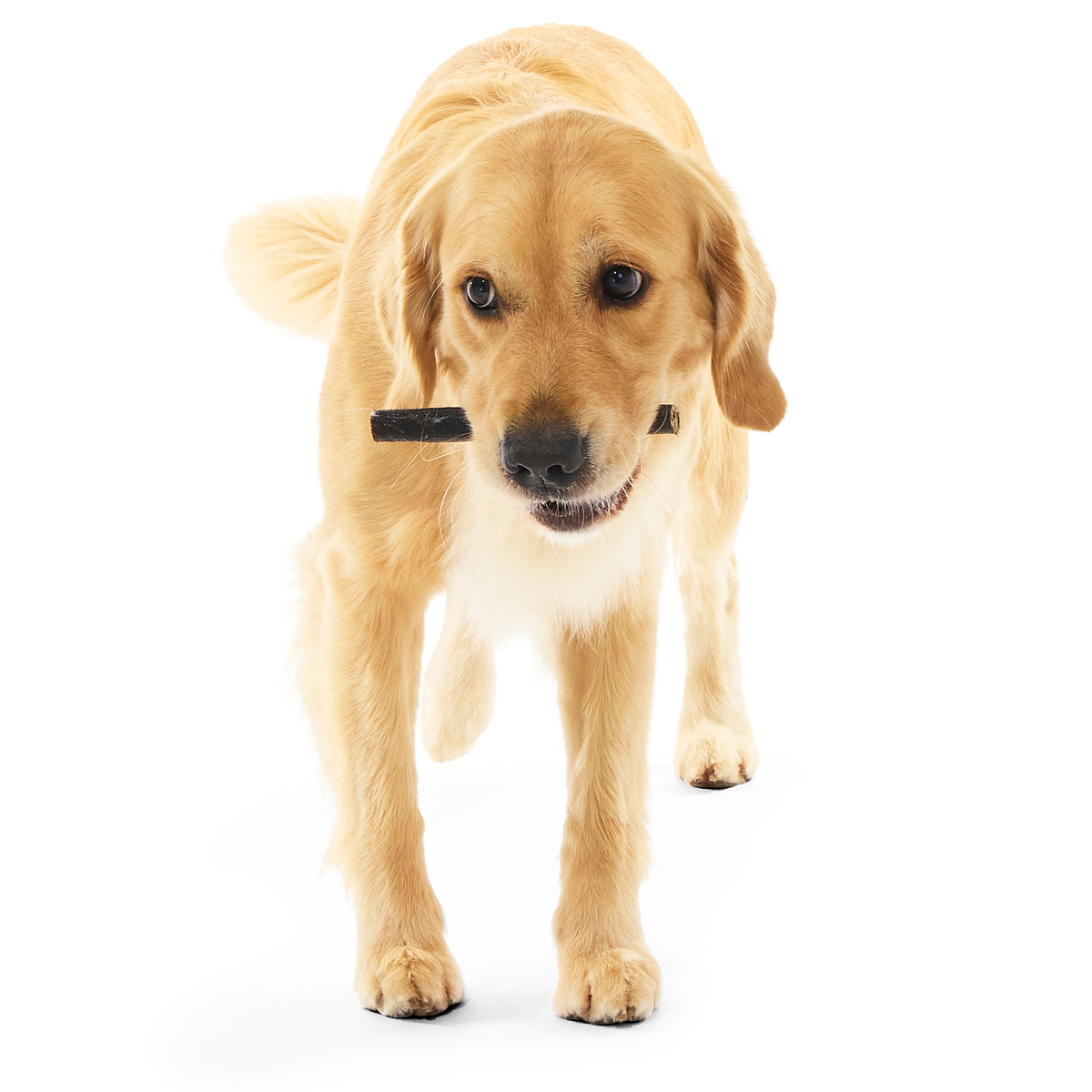 Beef Collagen Dog Chews. 5 Ct - Image 4