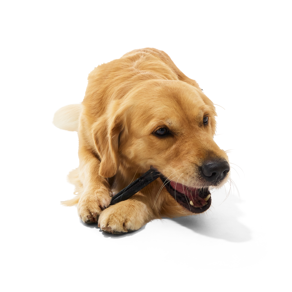 Beef Collagen Dog Chews. 5 Ct - Image 10