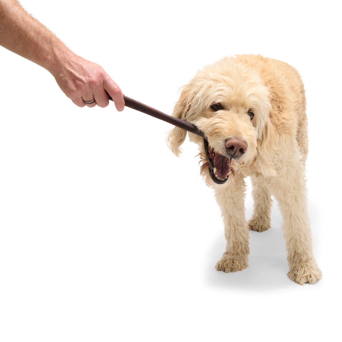 Beef Collagen Dog Chews. 5 Ct - Image 12