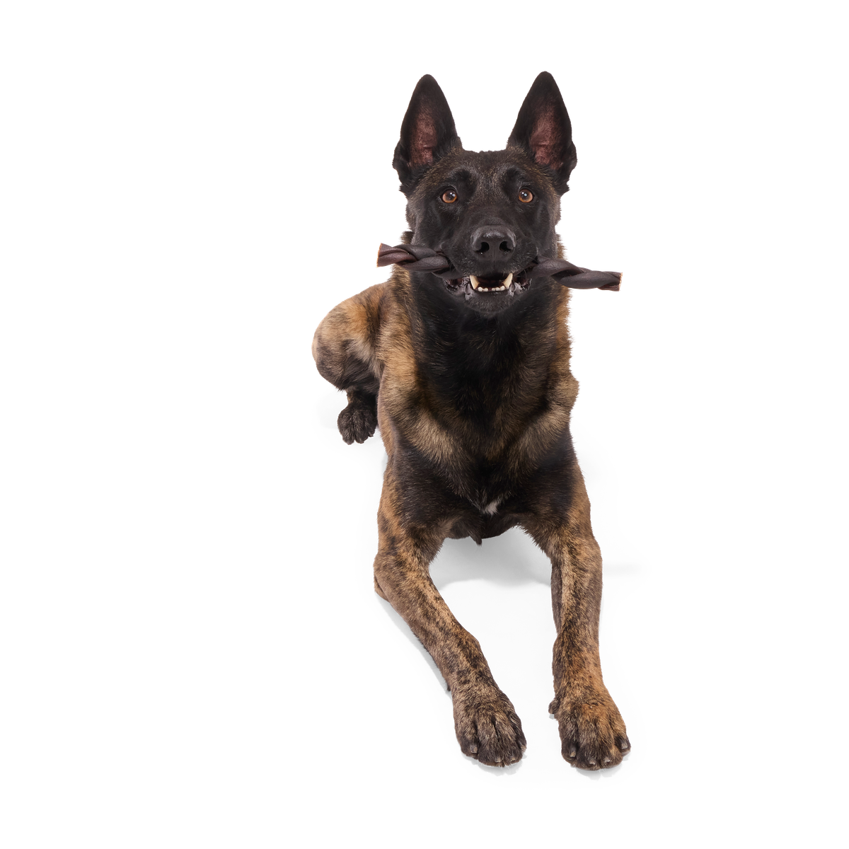 Beef Braided Collagen Dog Chew. Single. 9 - Image 3