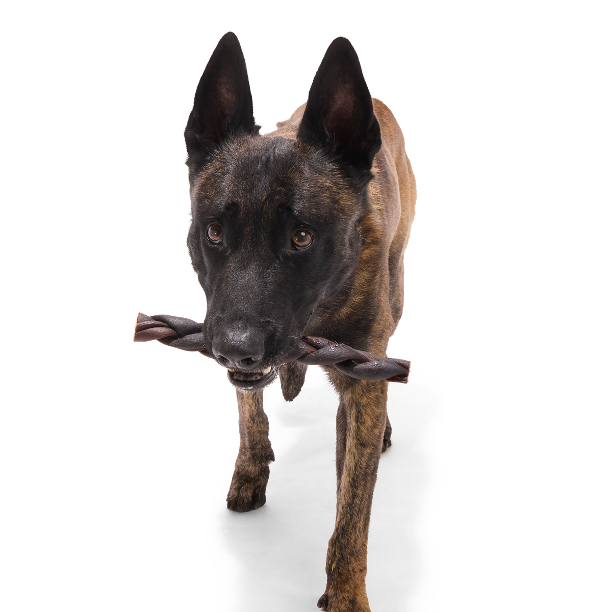 Beef Braided Collagen Dog Chew. Single. 9 - Image 5
