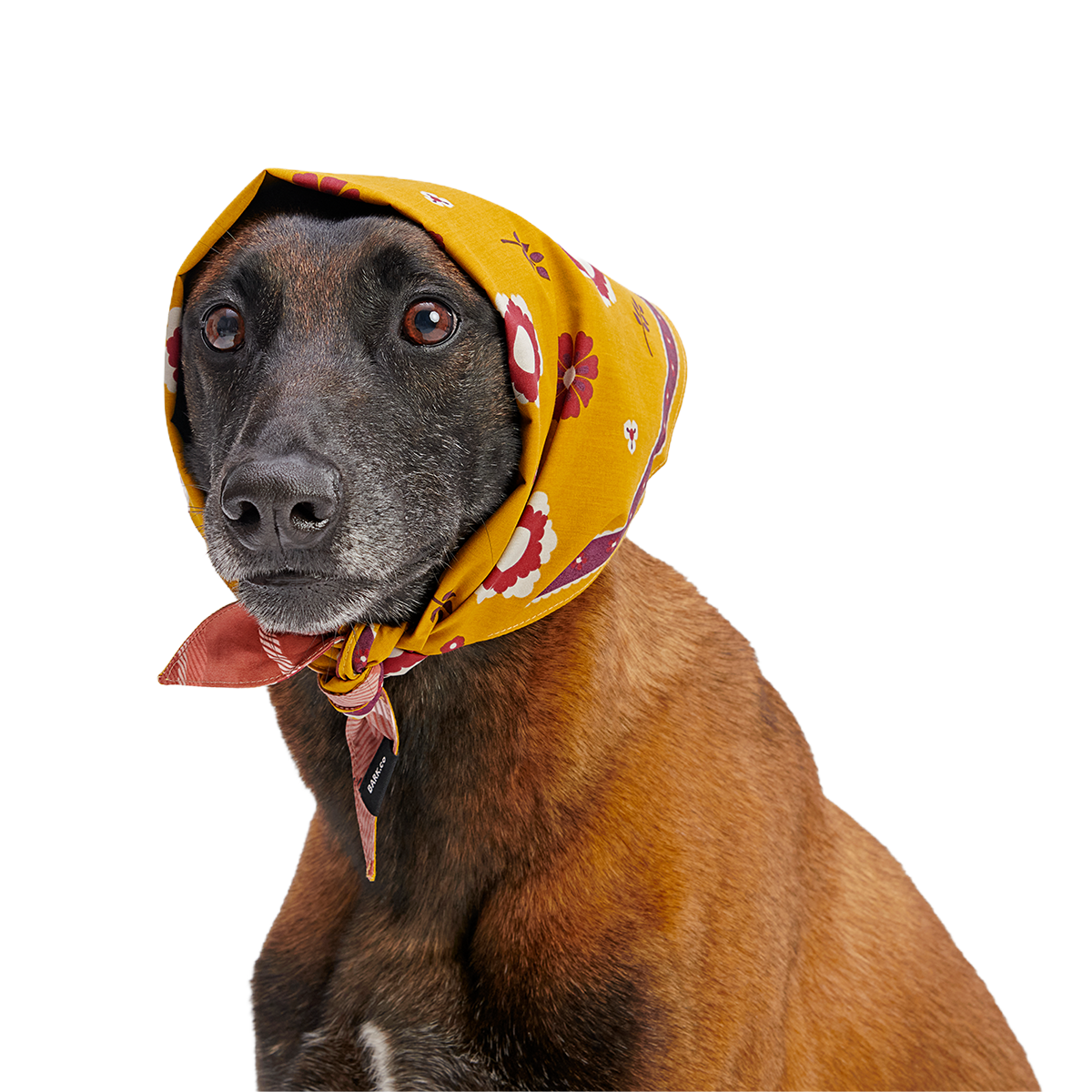 Fall Reversible Dog Bandana - Image 9