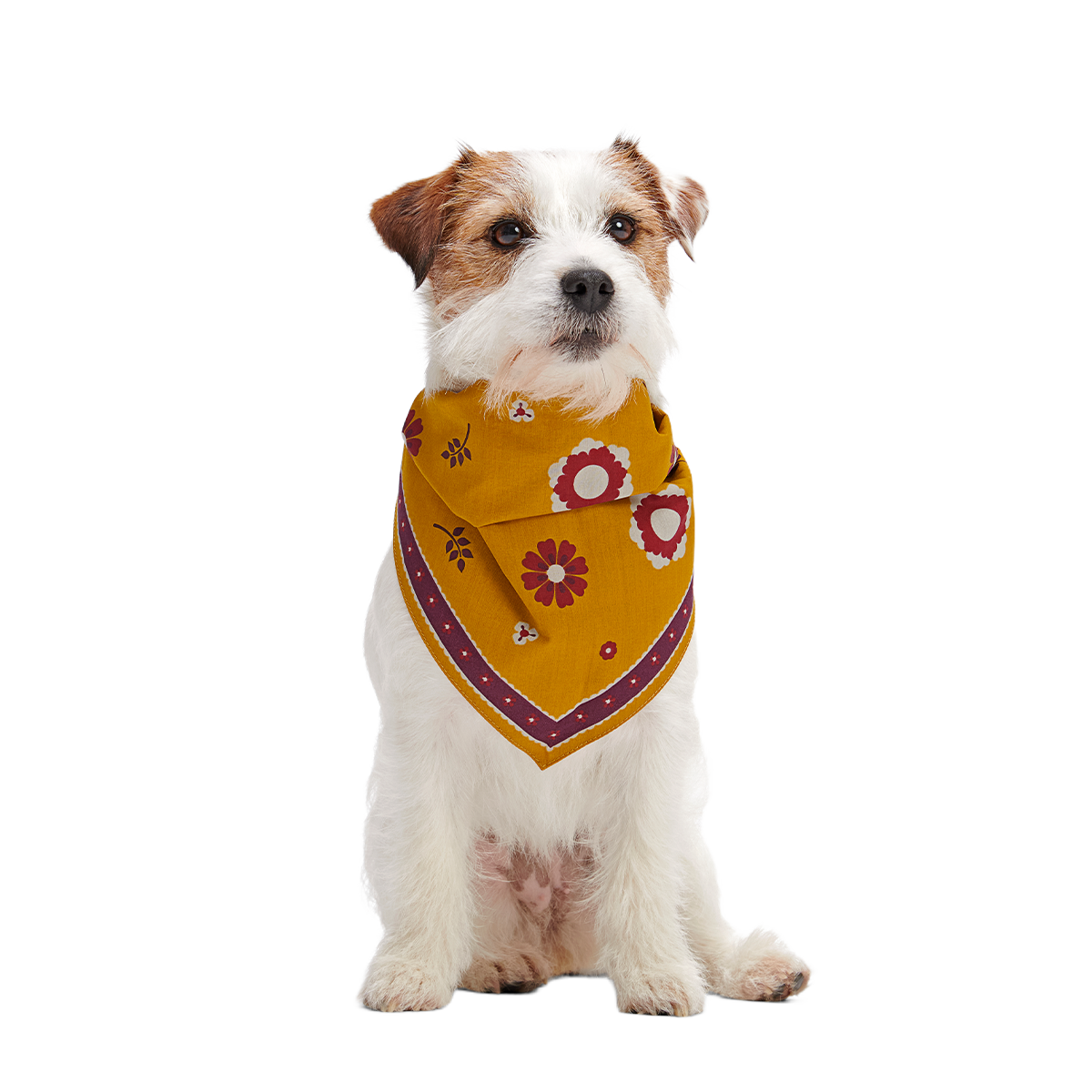 Fall Reversible Dog Bandana - Image 4