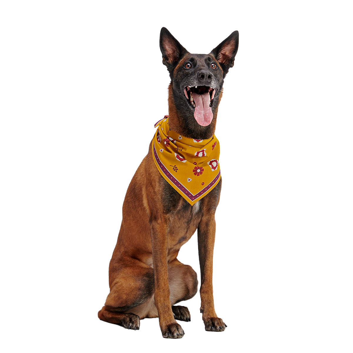 Fall Reversible Dog Bandana - Image 10