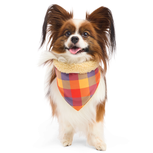 Fall Teddy Dog Bandana