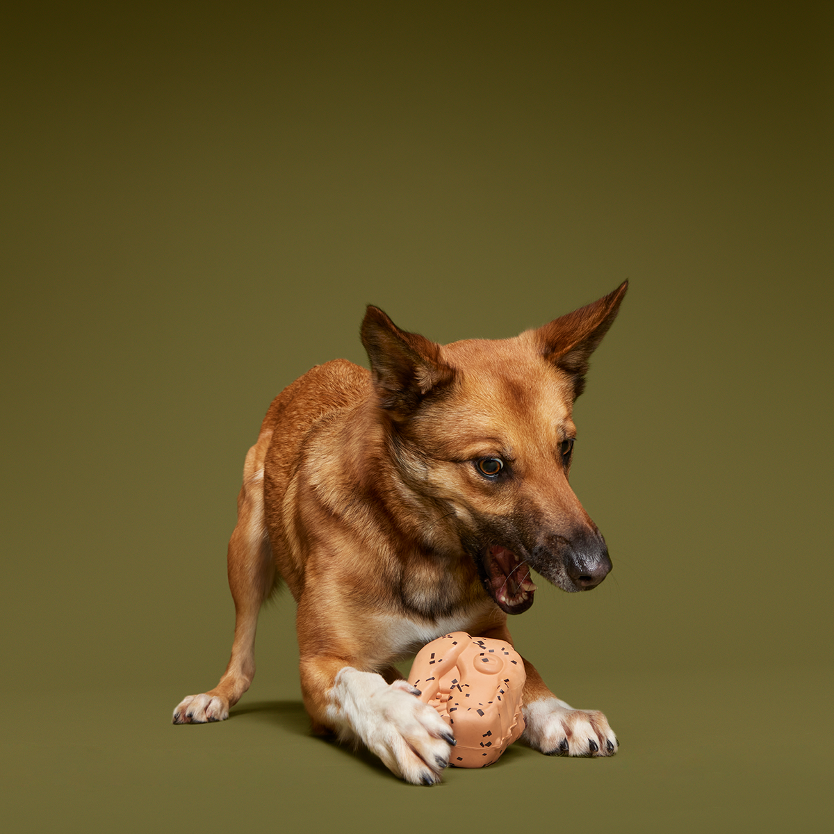 Feeding Time Super Chewer Durable Enrichment Dog Toy - Image 4