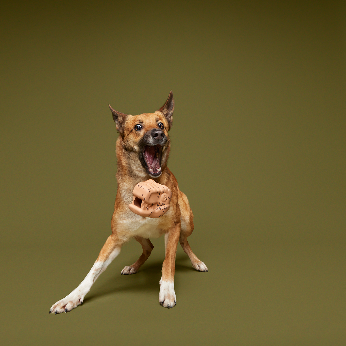Feeding Time Super Chewer Durable Enrichment Dog Toy - Image 3