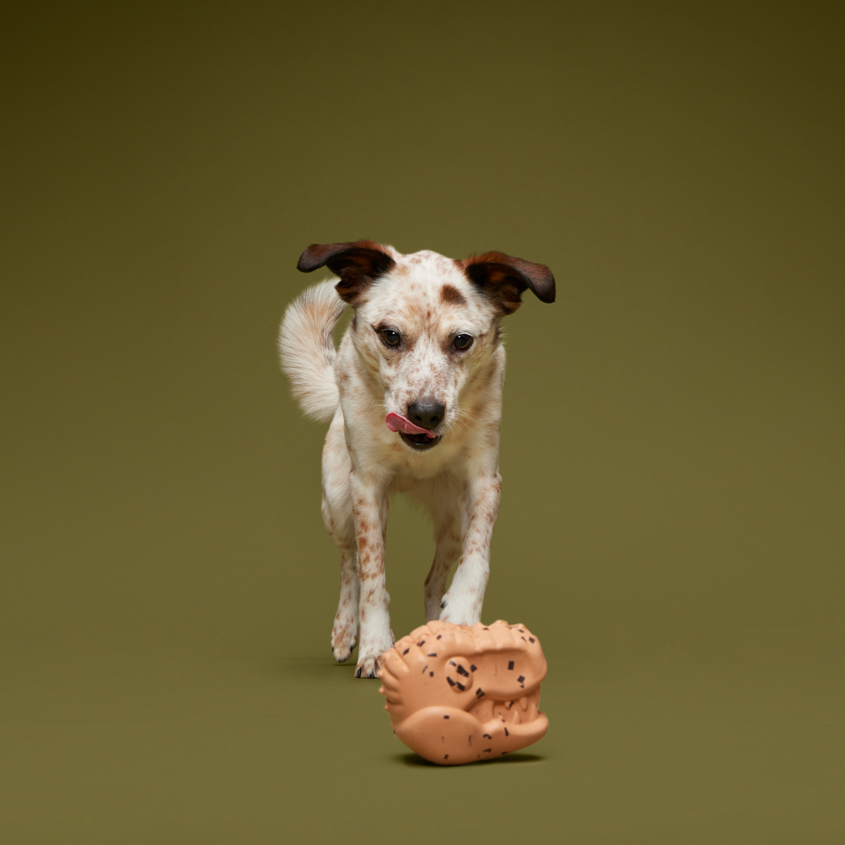 Feeding Time Super Chewer Durable Enrichment Dog Toy - Image 2