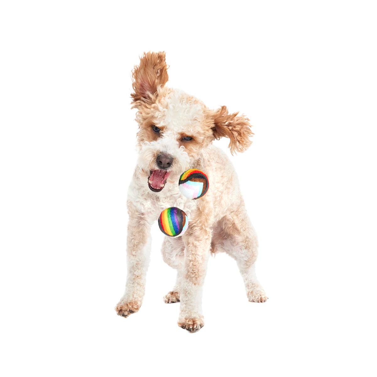 Fetch is Fetch Plush Multi-Part Dog Toy - Image 6