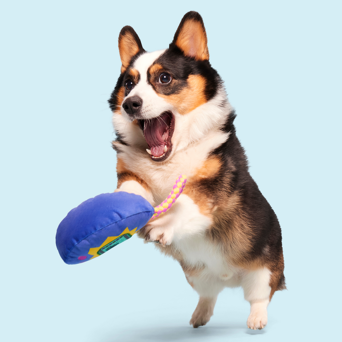 Gnawmagotchi Plush Tug Dog Toy - Image 4