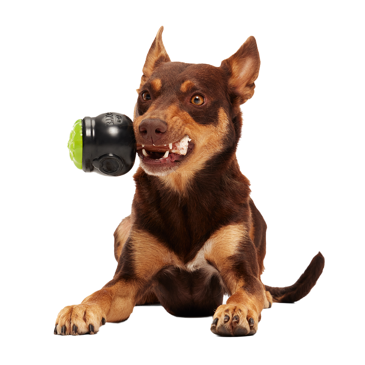 Gnawldron Super Chewer Durable Enrichment Dog Toy - Image 2