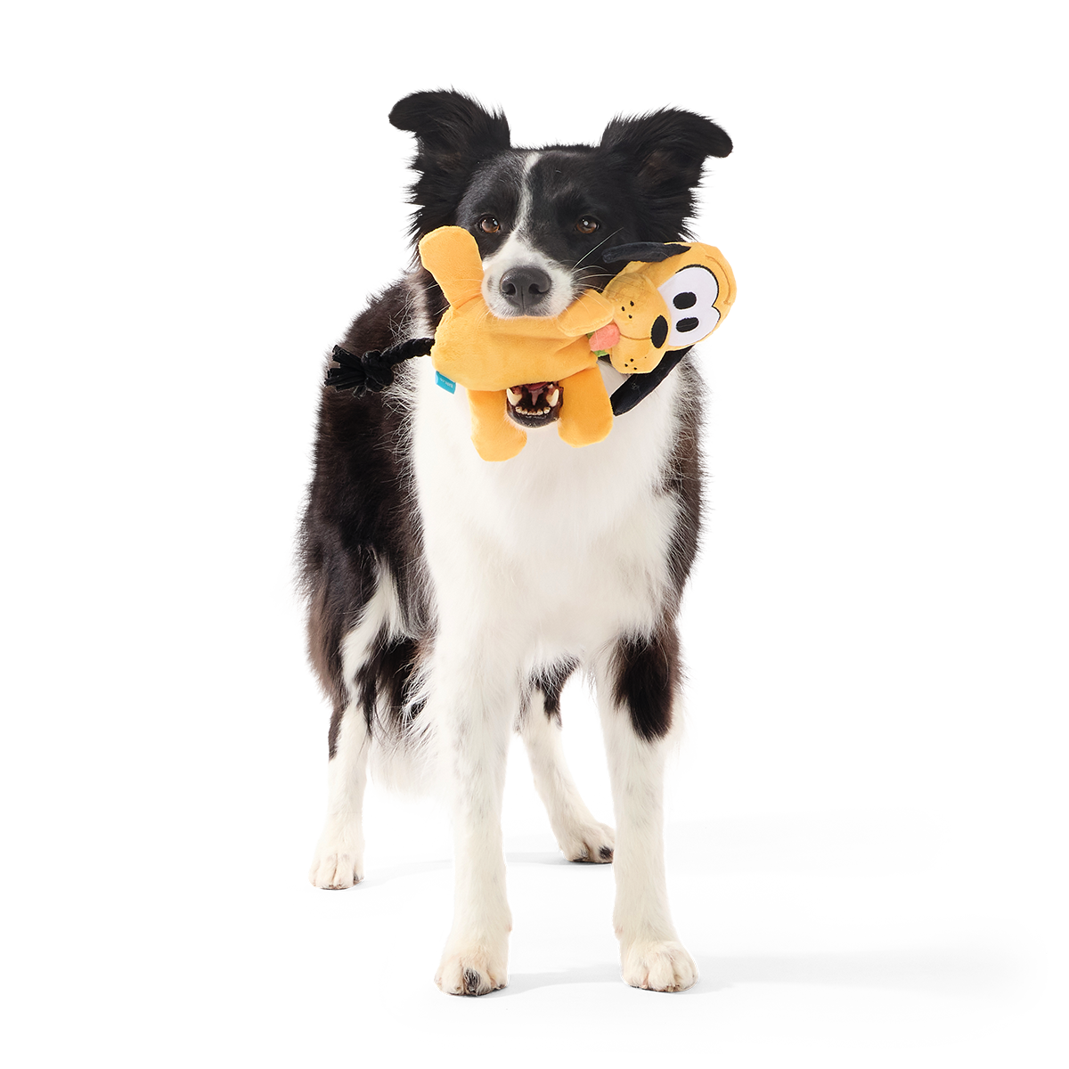 Good Boy Pluto Plush Tug Dog Toy - Image 2