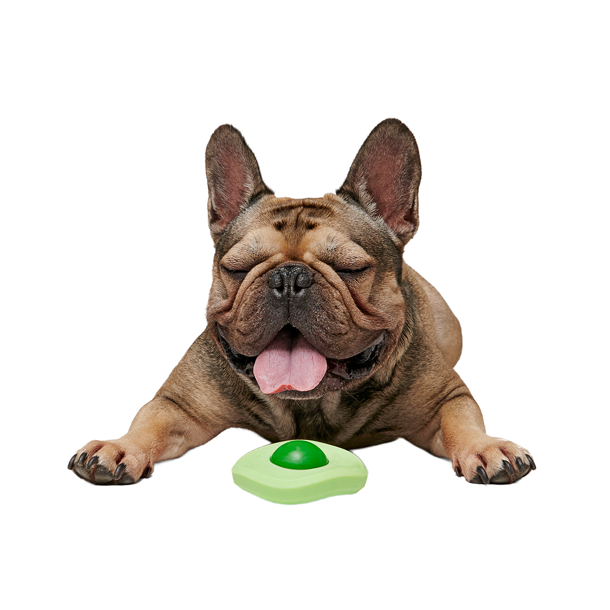 Green Egg Super Chewer Durable Gnaw Dog Toy - Image 4