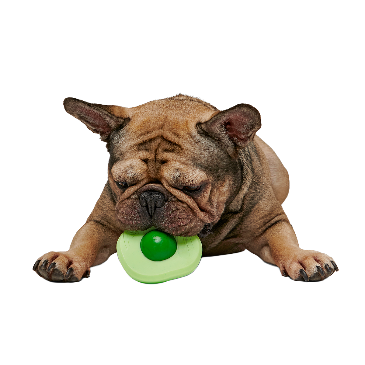 Green Egg Super Chewer Durable Gnaw Dog Toy - Image 3