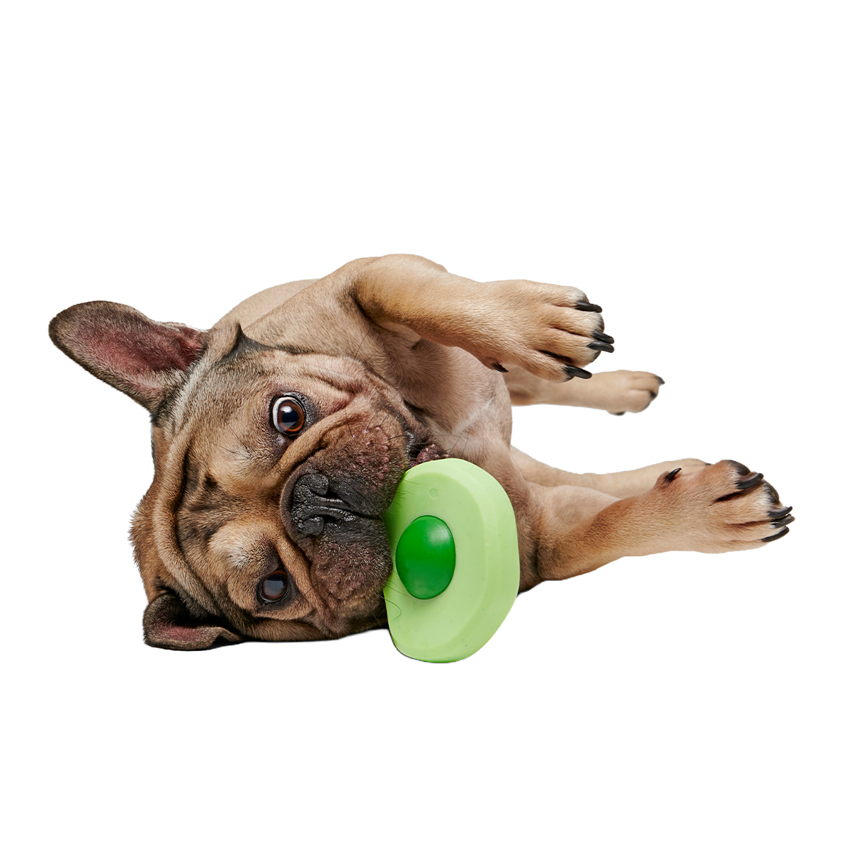 Green Egg Super Chewer Durable Gnaw Dog Toy - Image 2