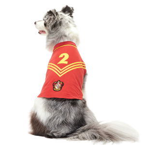 Quidditch™ Jersey