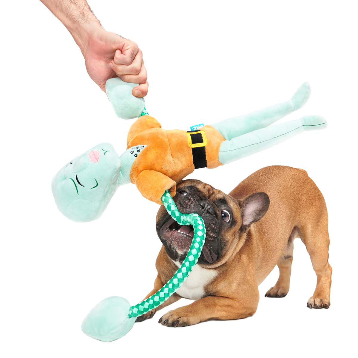 Handsome Squidward Plush Extra-Large + Tug Dog Toy - Image 4
