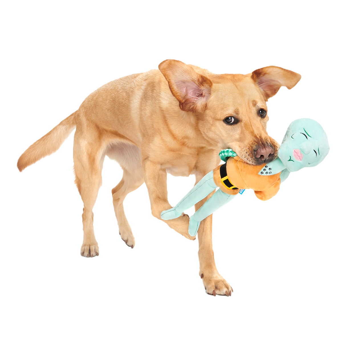 Handsome Squidward Plush Extra-Large + Tug Dog Toy - Image 3