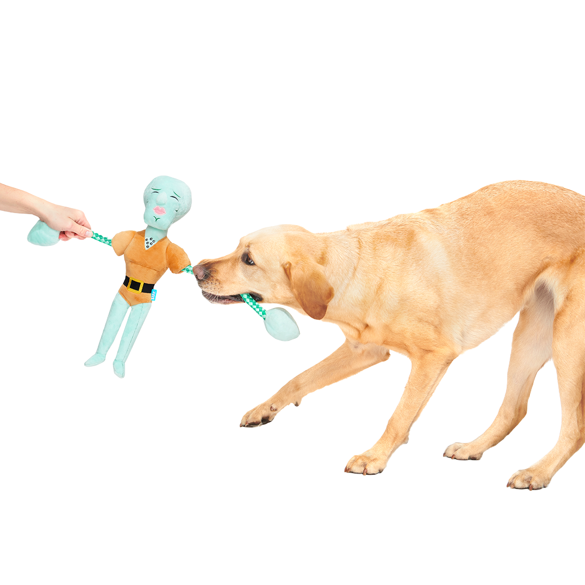 Handsome Squidward Plush Extra-Large + Tug Dog Toy - Image 2
