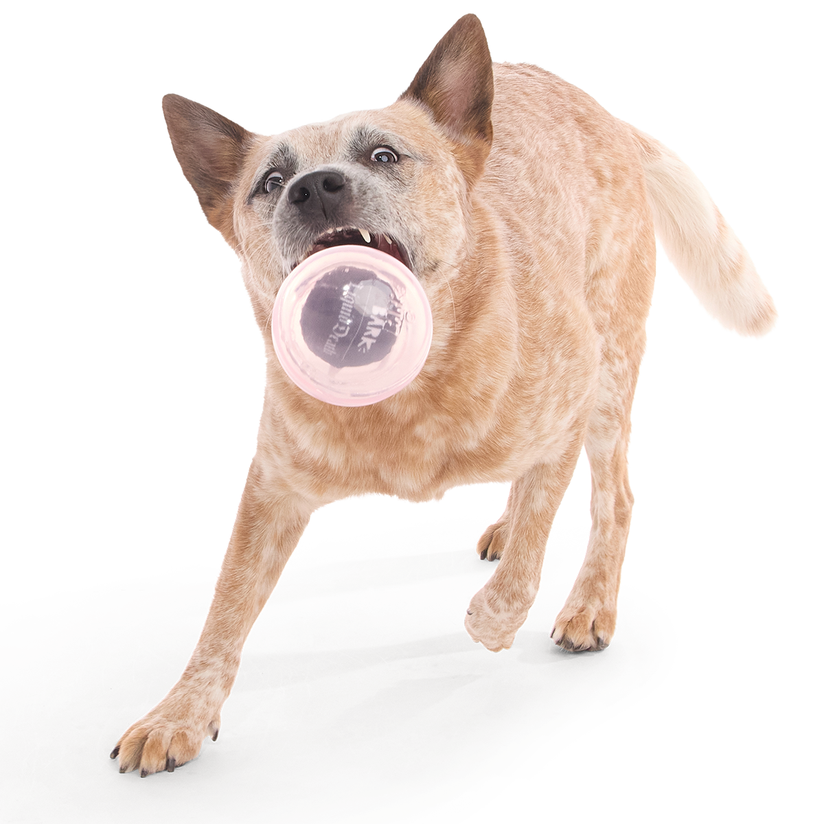 Happy Fun Eyeball Super Chewer Durable Fetch Dog Toy - Image 5