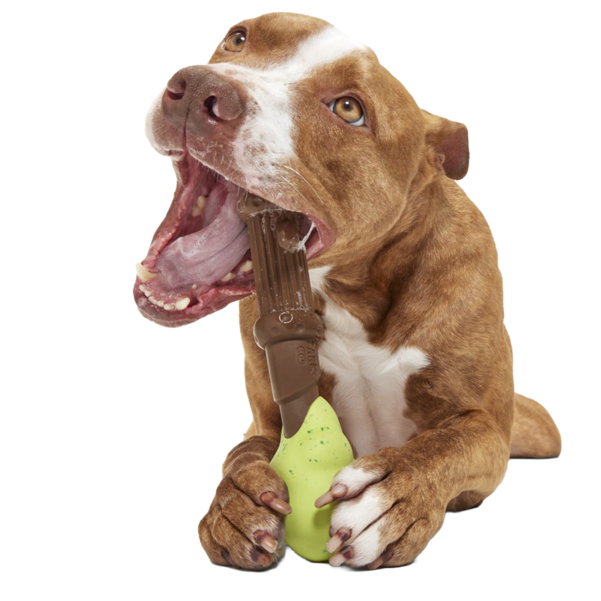 HARRY POTTER™ Super Chewer Durable Multi-Part + Fetch Dog Toy Bundle - Image 10