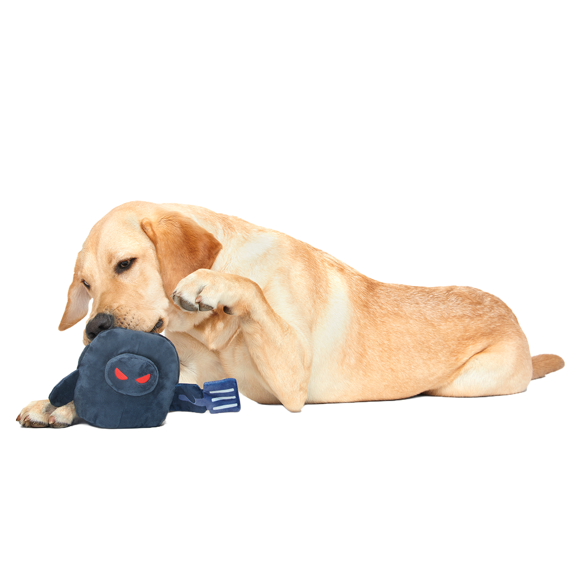 Hash-Slinging Slasher Plush 2-in-1 Dog Toy - Image 3