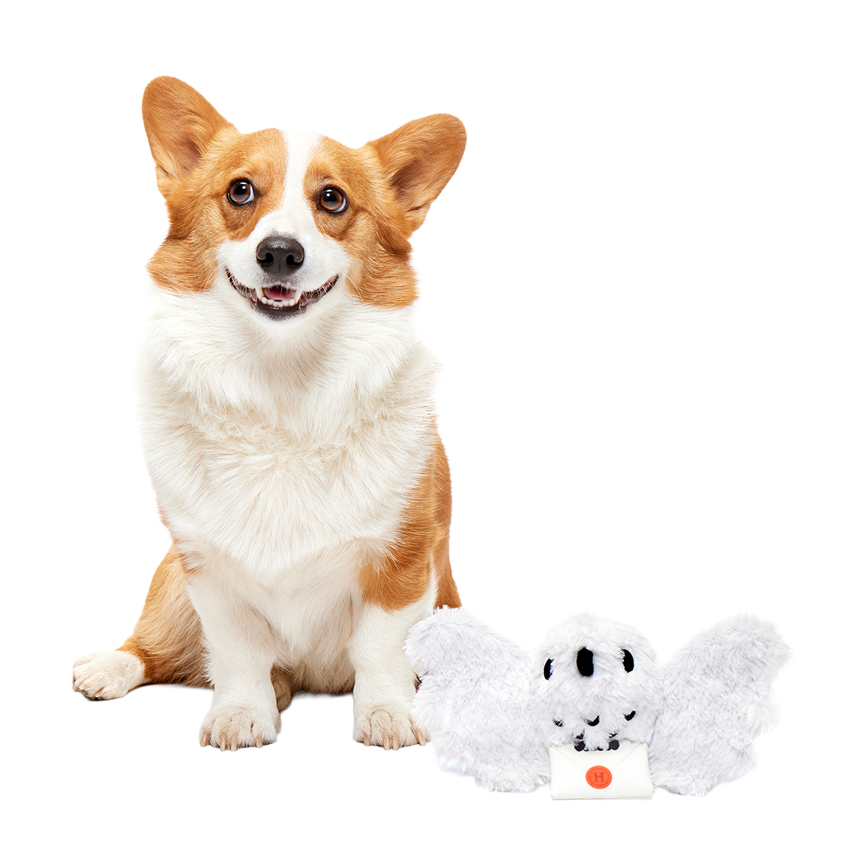 Hedwig™ Plush Tug Dog Toy - Image 4
