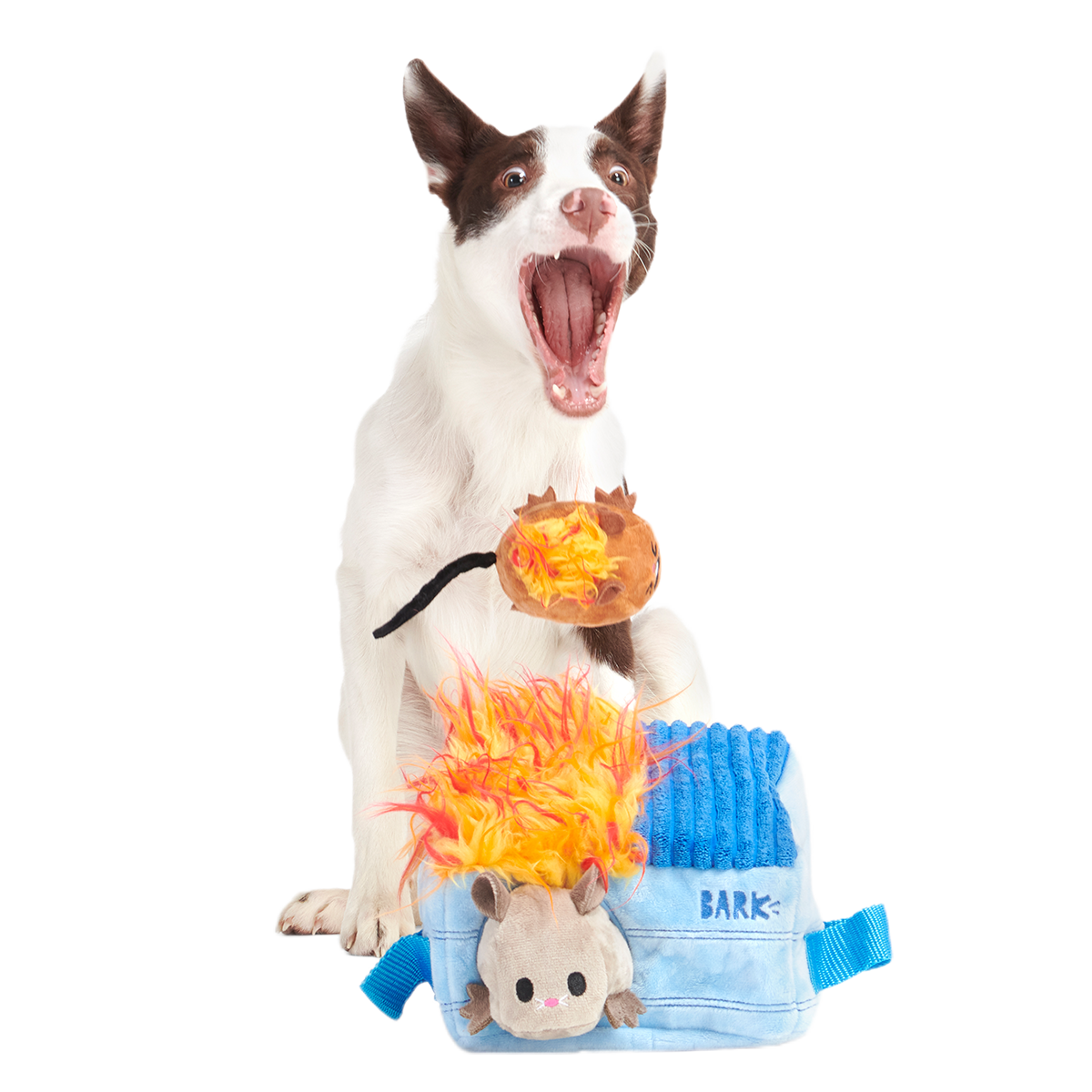 Hide n' Squeak Dumpster Fire Plush Multi-Part + Enrichment Dog Toy - Image 6