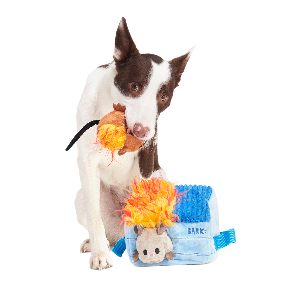 Hide n' Squeak Dumpster Fire Plush Multi-Part + Enrichment Dog Toy - Image 5