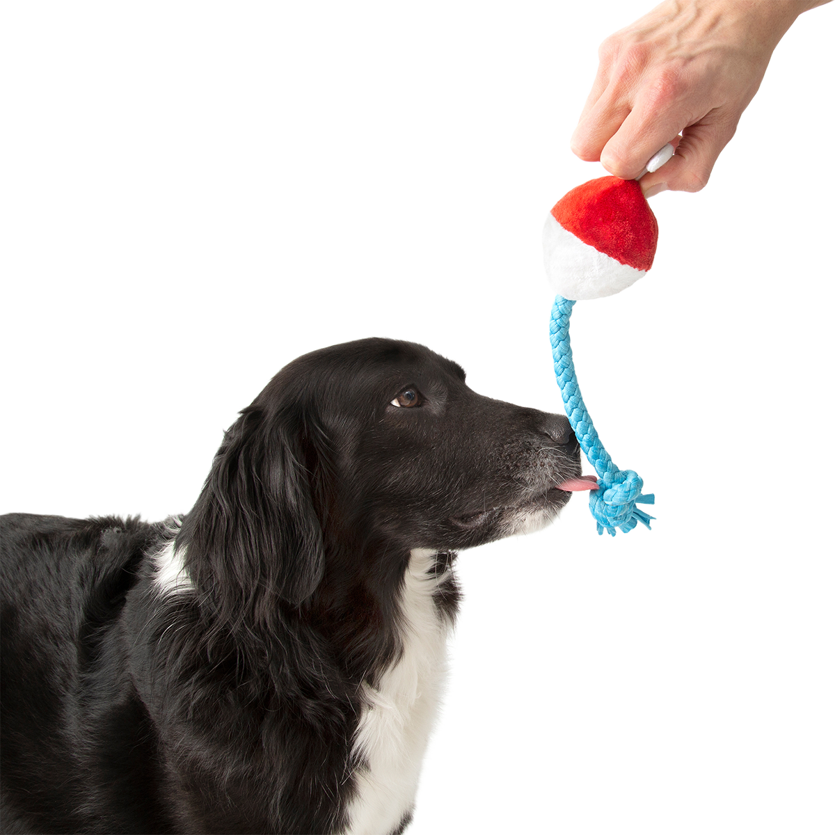 Hook Line and Squeaker Plush Multi-Part + Tug Dog Toy - Image 5