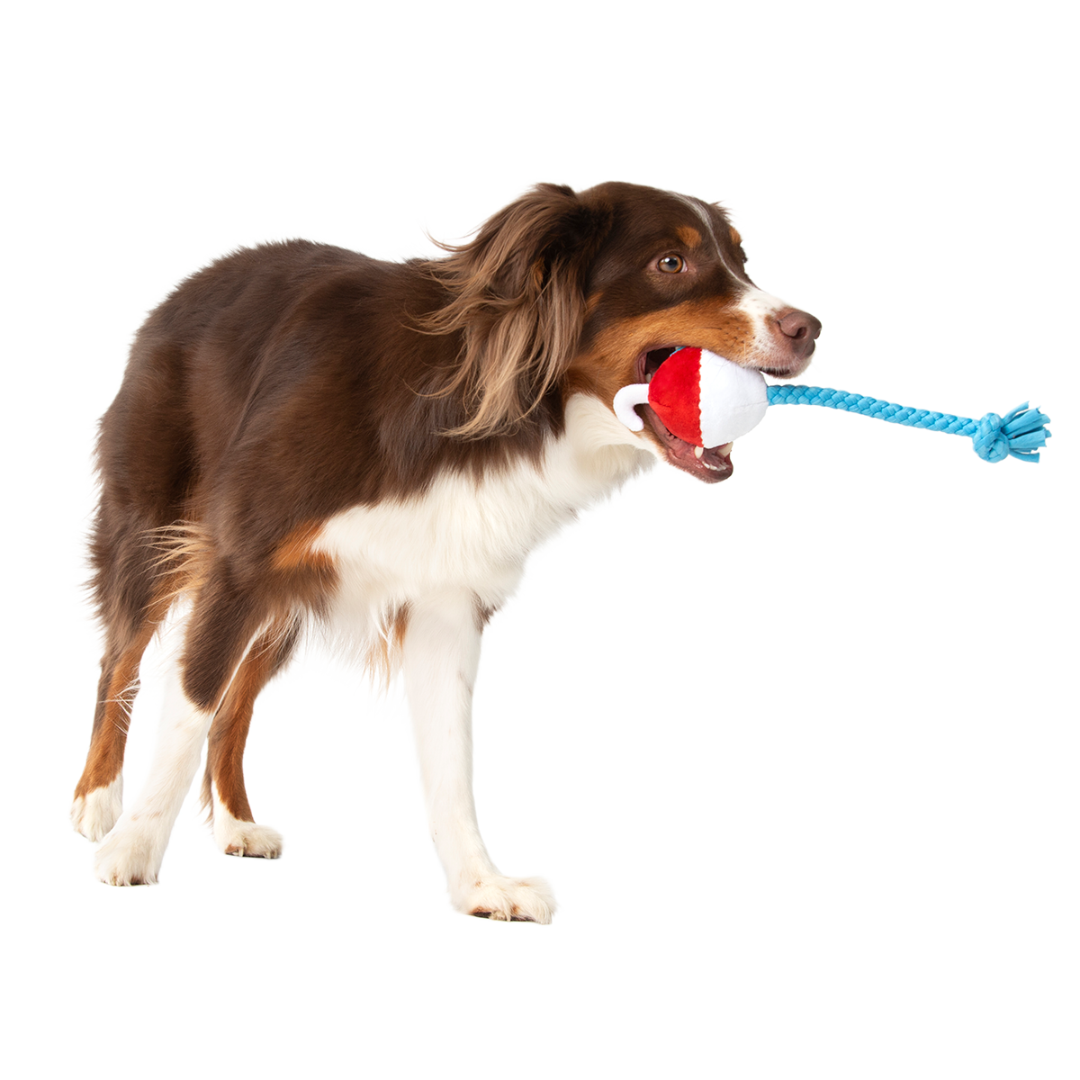 Hook Line and Squeaker Plush Multi-Part + Tug Dog Toy - Image 2