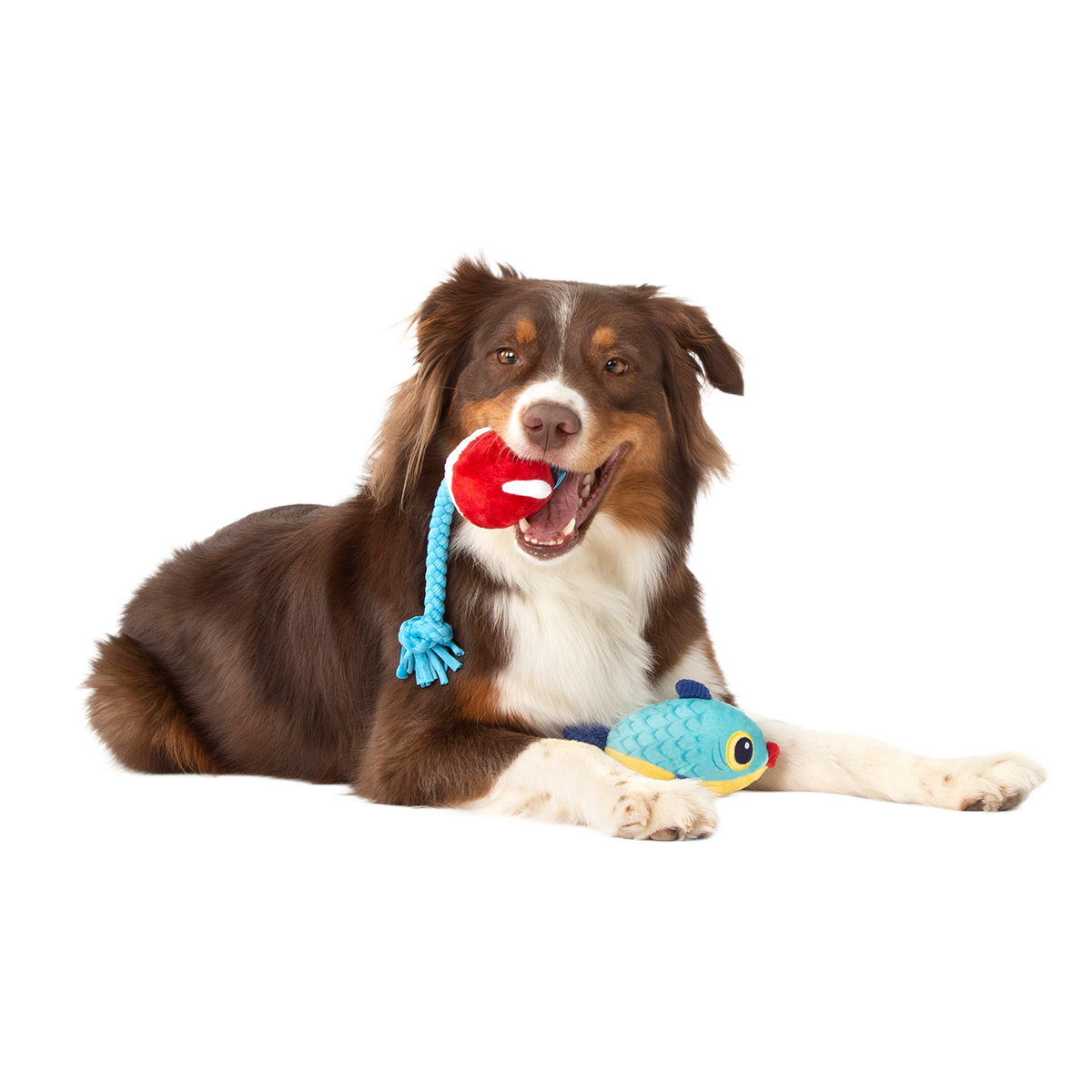Hook Line and Squeaker Plush Multi-Part + Tug Dog Toy - Image 4