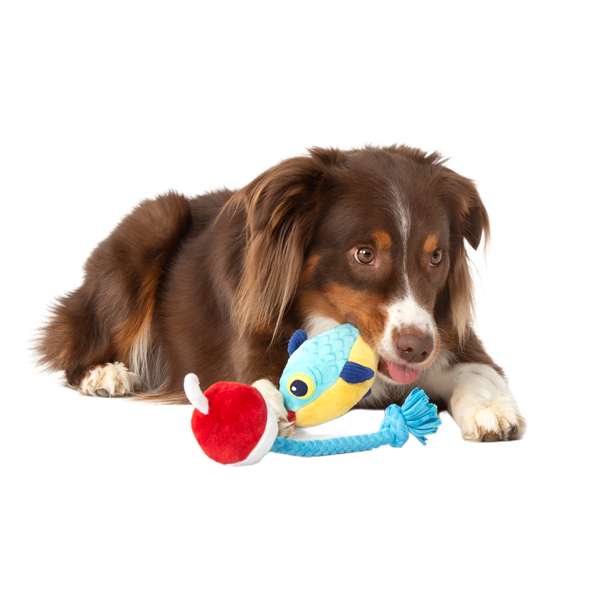 Hook Line and Squeaker Plush Multi-Part + Tug Dog Toy - Image 3