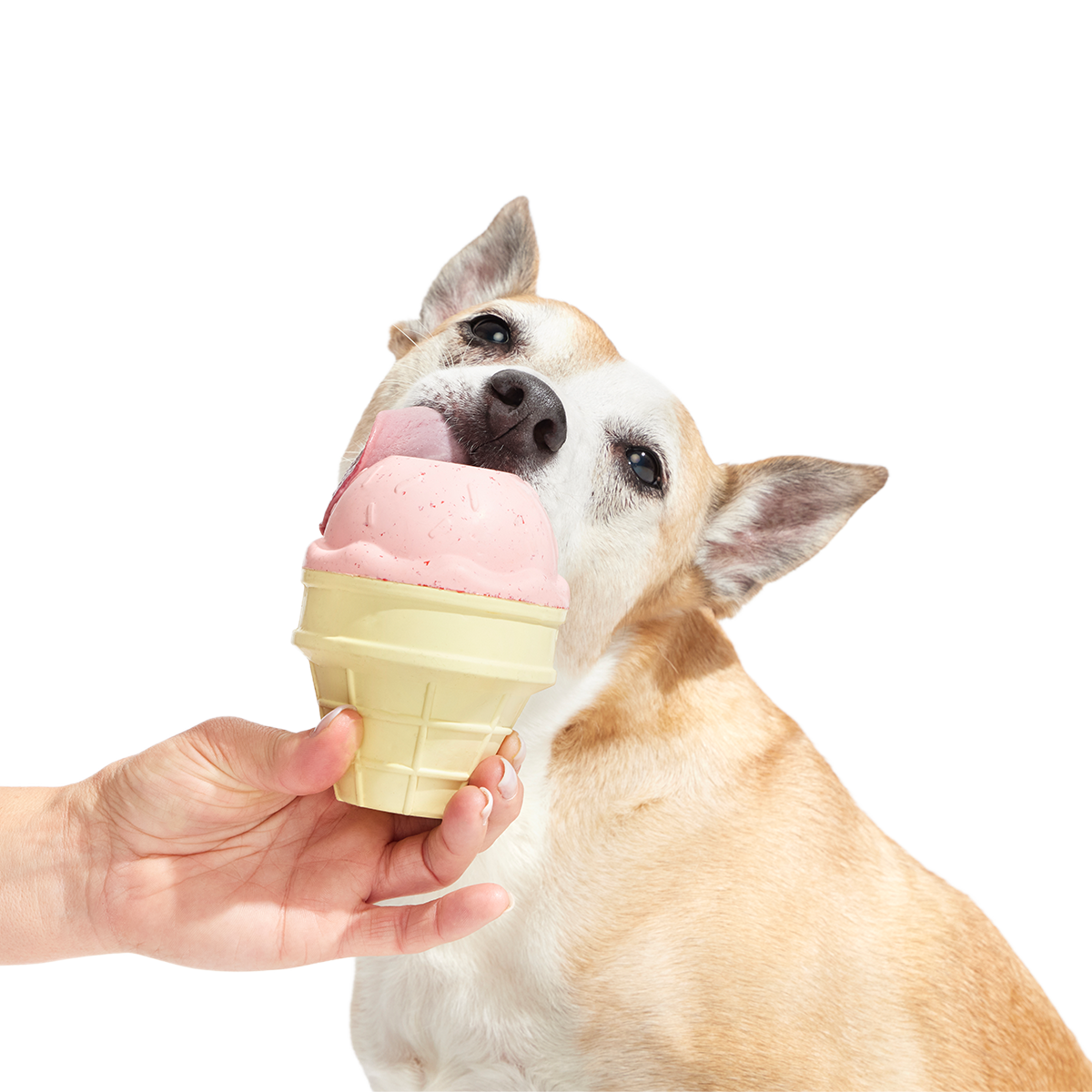 I Squeak Cone Super Chewer Durable Gnaw Dog Toy - Image 2