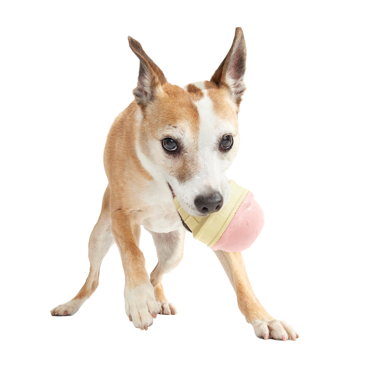 I Squeak Cone Super Chewer Durable Gnaw Dog Toy - Image 3