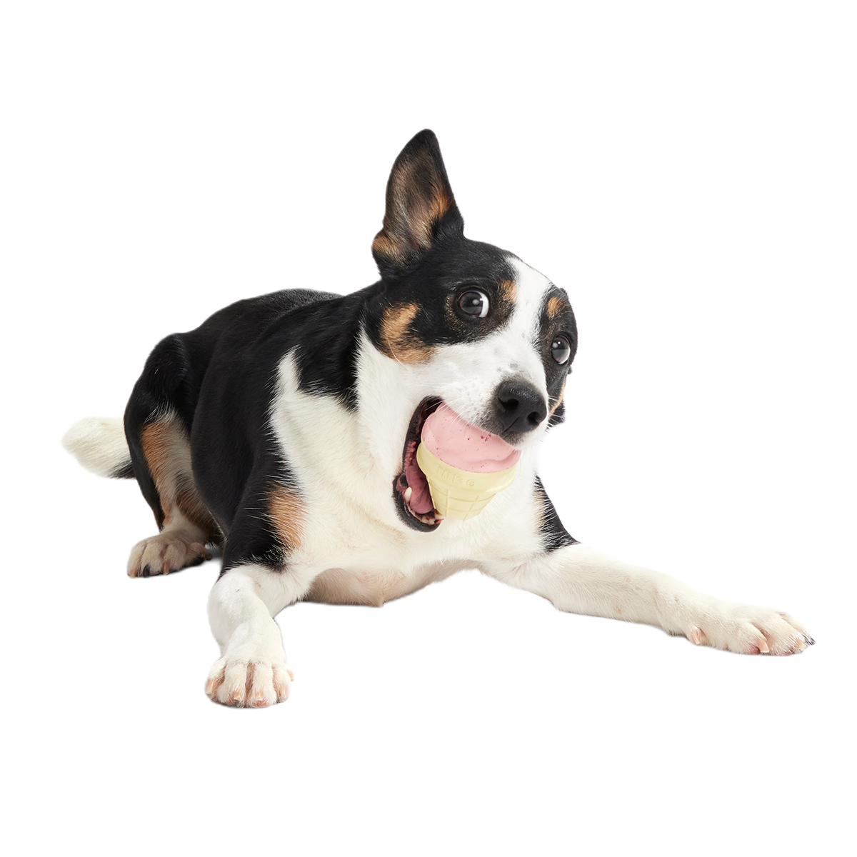 I Squeak Cone Super Chewer Durable Gnaw Dog Toy - Image 4