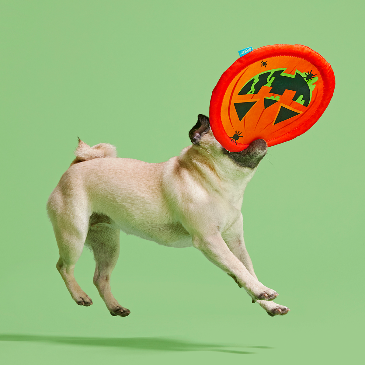 Jack-Throw-Lantern Plush Fetch Dog Toy - Image 6