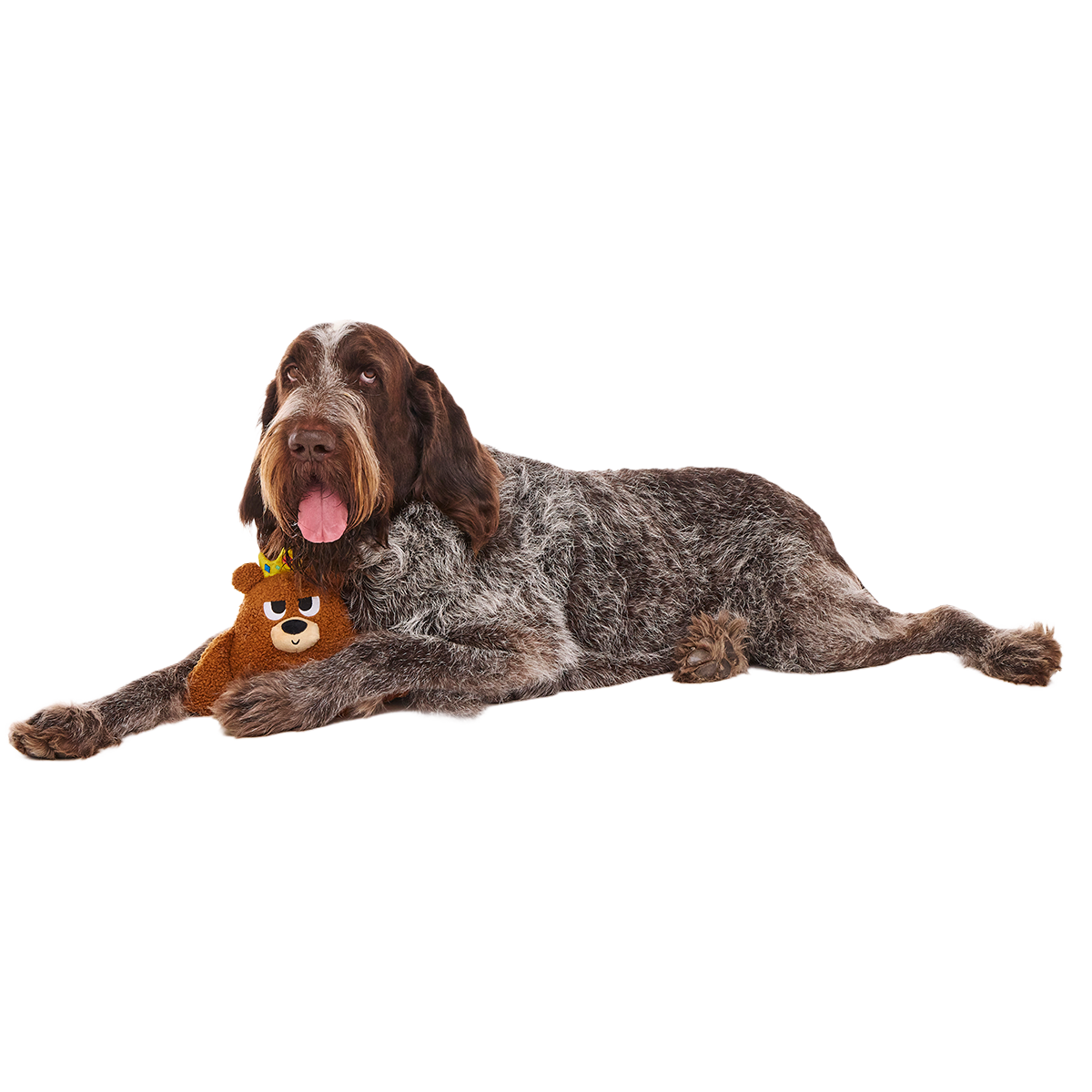 King Bearthur Plush Tug Dog Toy - Image 3