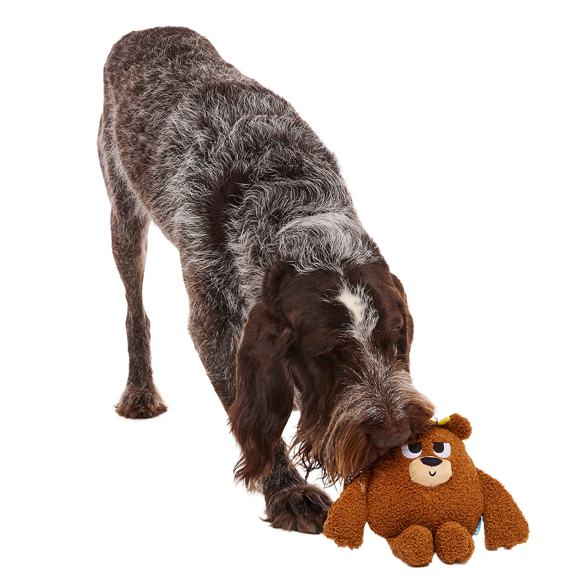 King Bearthur Plush Tug Dog Toy - Image 2
