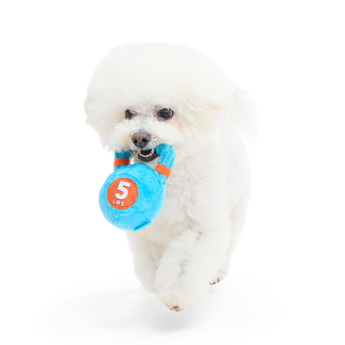 Lil' Kennelbell Plush Tug Dog Toy - Image 2