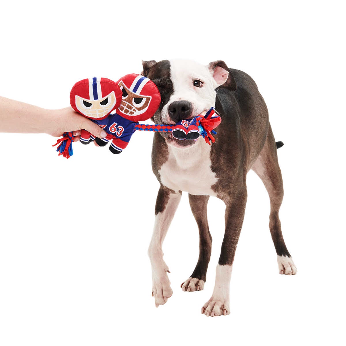 Linebarkers Plush Tug Dog Toy - Image 4