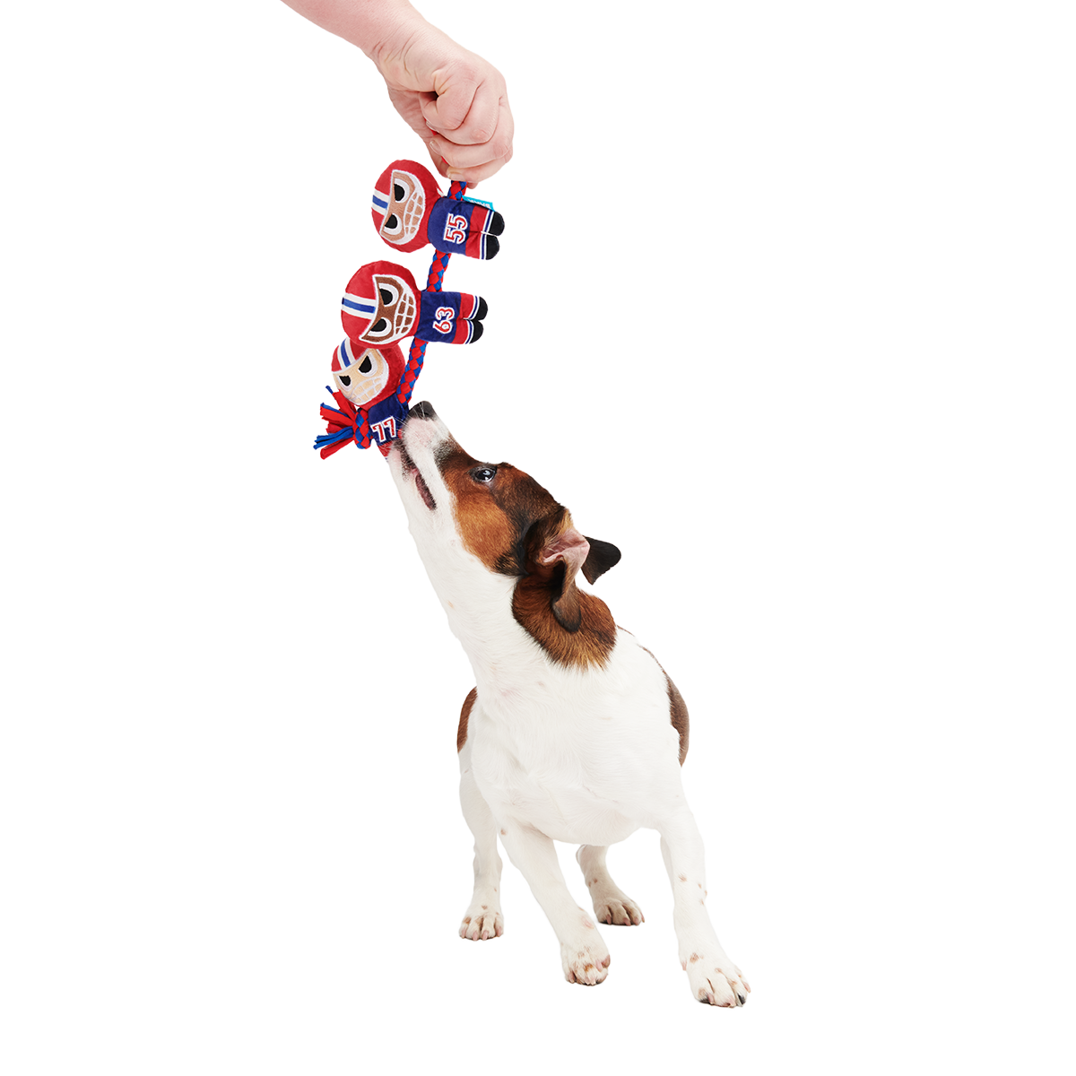 Linebarkers Plush Tug Dog Toy - Image 3