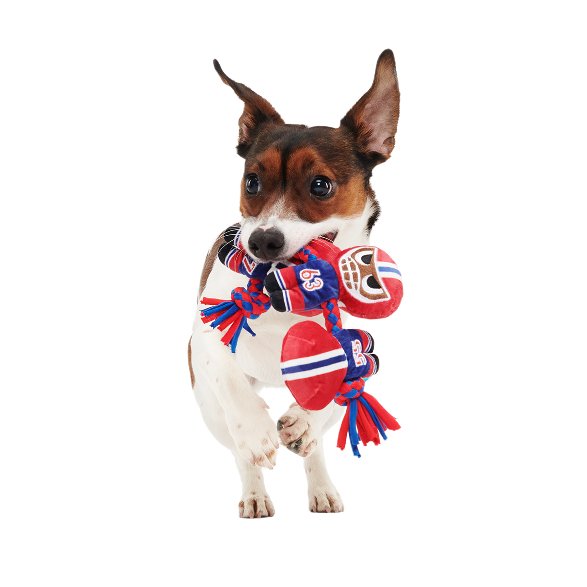 Linebarkers Plush Tug Dog Toy - Image 2