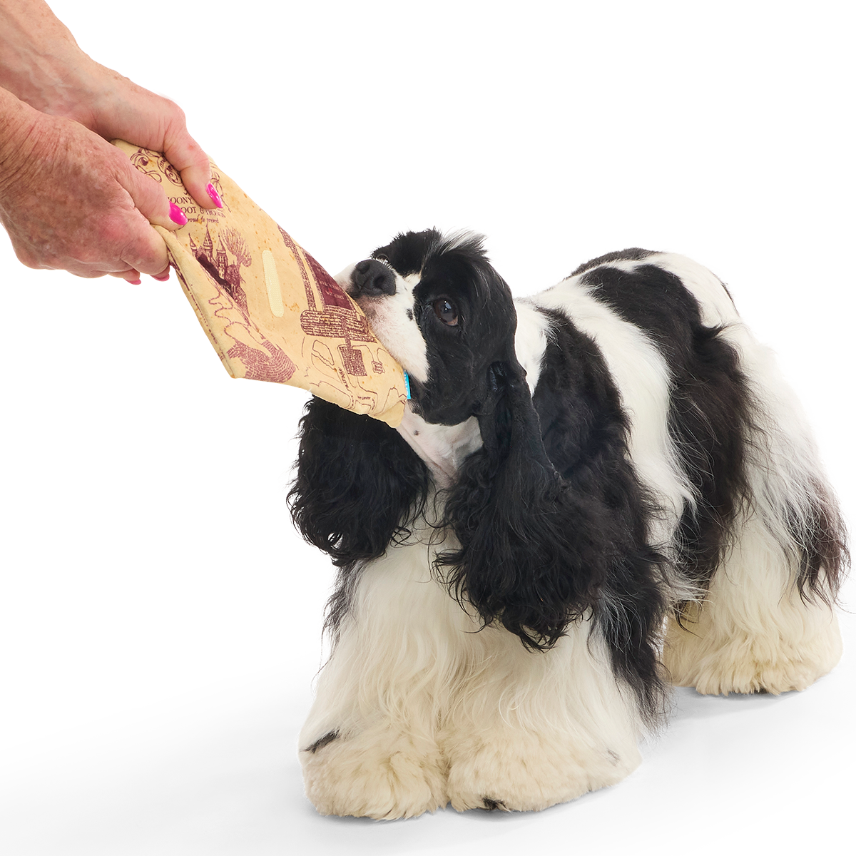 HARRY POTTER™ Plush Multi-Part Dog Toy Bundle - Image 7