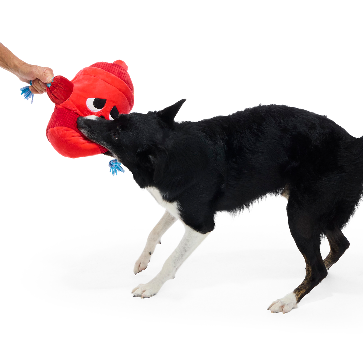 Marky Mark Plush Extra-Large Tug Dog Toy - Image 4